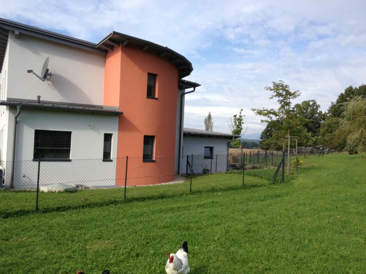 Haus Luna - Privatzimmer Im Sonnigen Suedburgenland Hackerberg Exterior foto